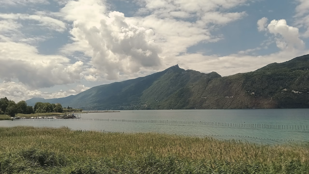 La Dent du Chat et le lac du Bourget, vus depuis les roseaux de Brison-Saint-Innocent